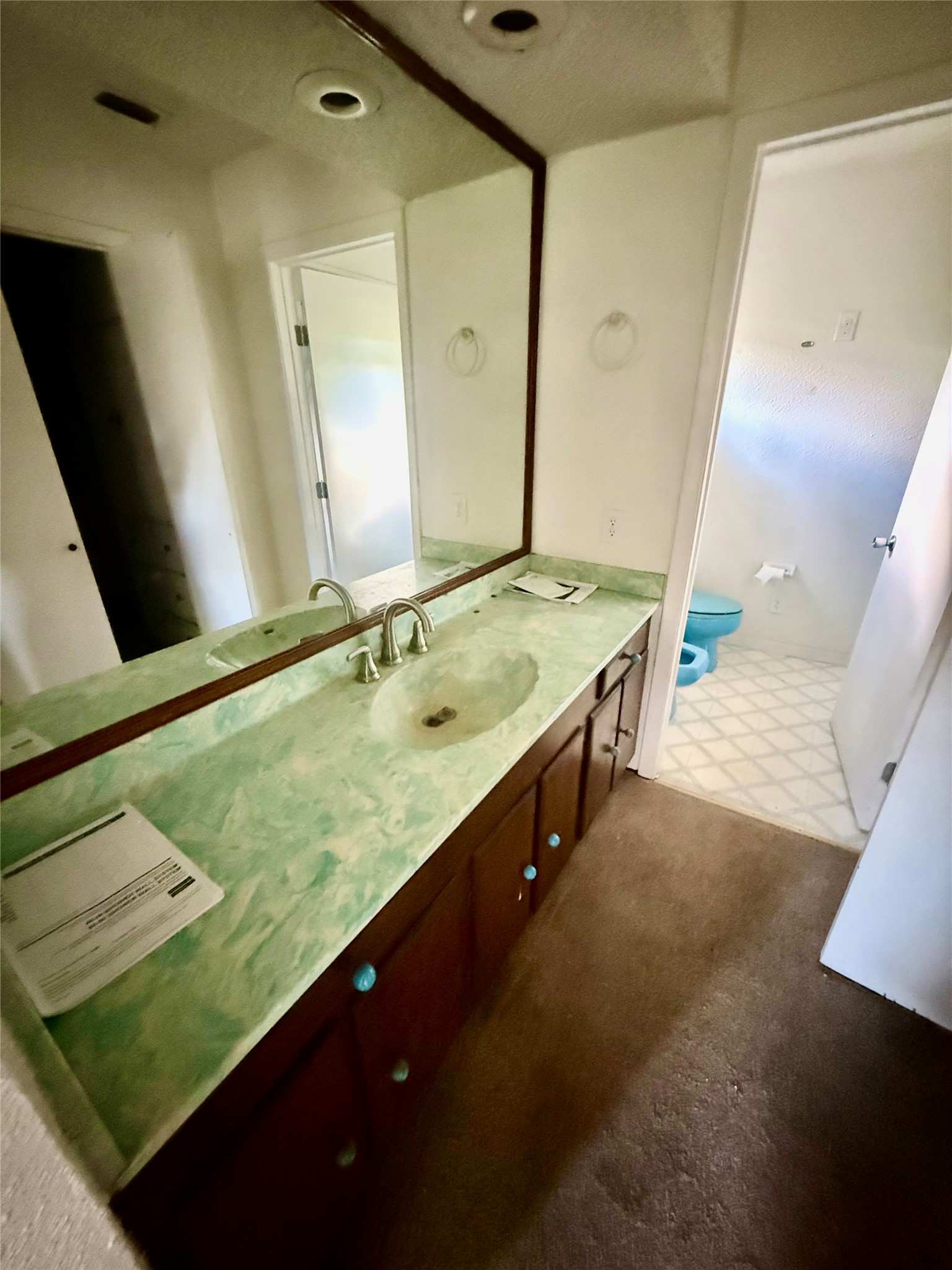 254 Lone Star Road Bastrop, TX 78602 - Photo 9 of 20 Double vanity with spacious countertop and ample storage perfect for daily routines.