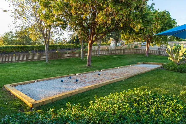 a view of a park with large trees