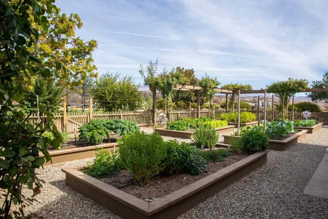 a view of a garden with plants