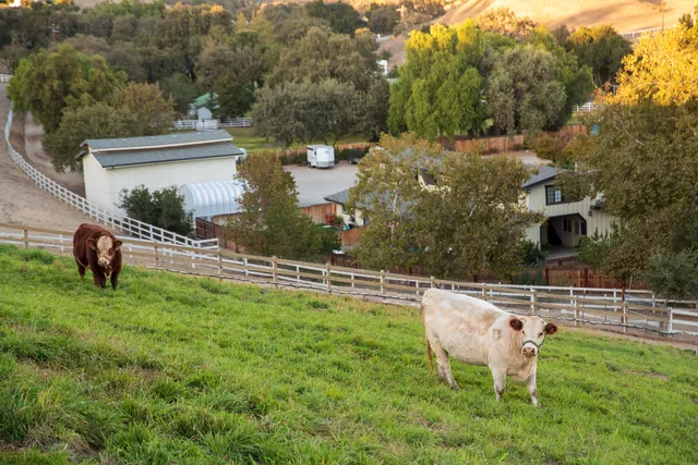 a view of a chairs and table in the yard