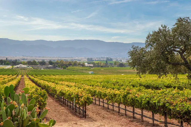 a view of an ocean and a mountain