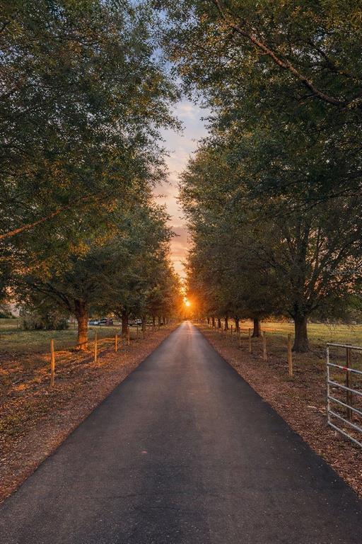 9680 Payne Road Sebring, FL 33875 - Photo 28 of 28