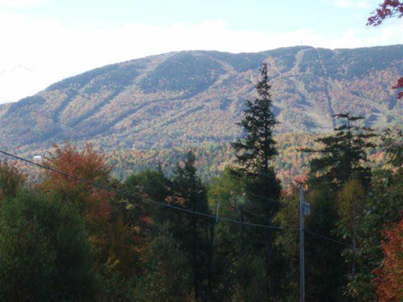 Lot 9 Douglass Road Newry, ME 04261 - Photo 2 of 2 View. Fall View