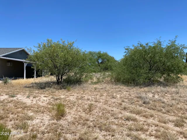 a view of a big yard with plants and a tree