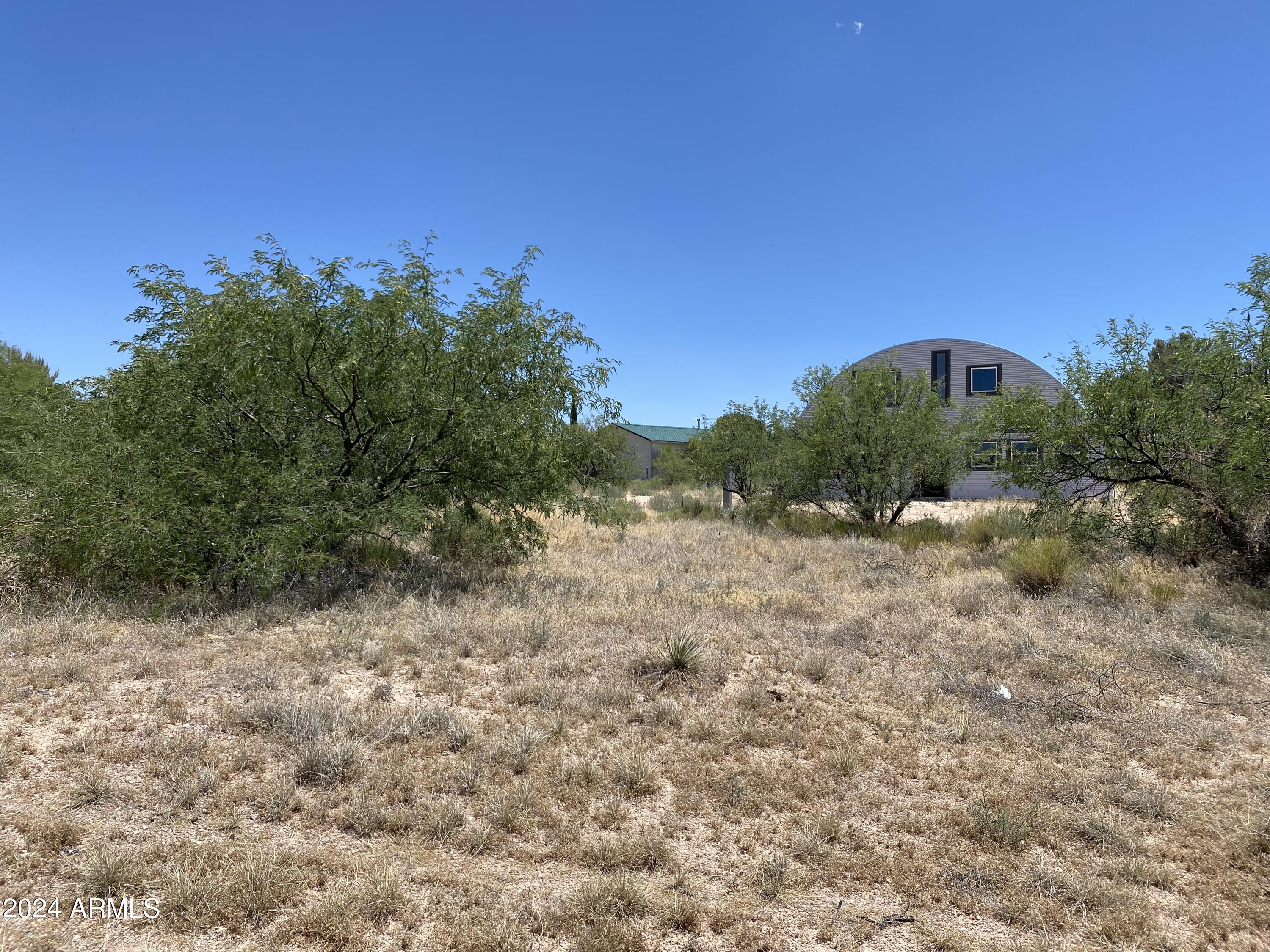 Lot 363 North Mescal Road, Unit 363 Benson, AZ 85602 - Photo 5 of 31 a view of a big yard with plants and a tree