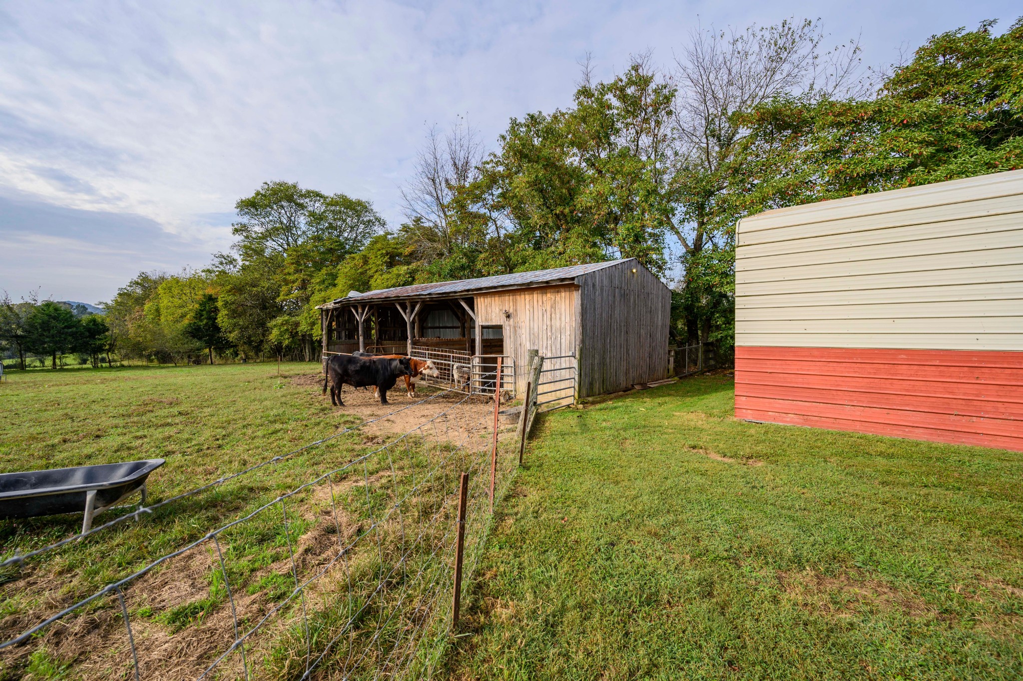 975 Webb Road Eagleville, TN 37060 - Photo 39 of 41 Gallery Image 39
