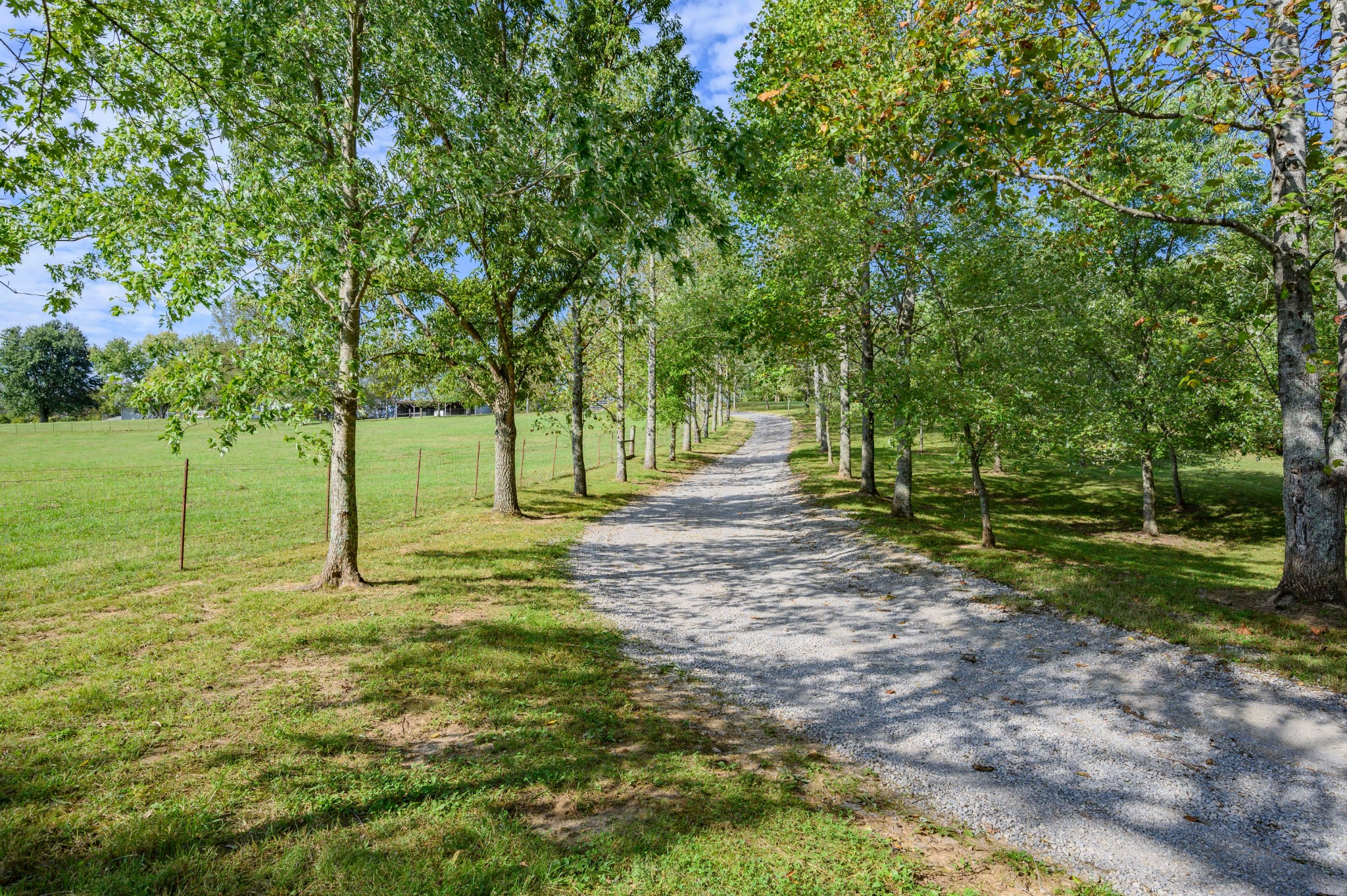 975 Webb Road Eagleville, TN 37060 - Photo 5 of 41 Gallery Image 5