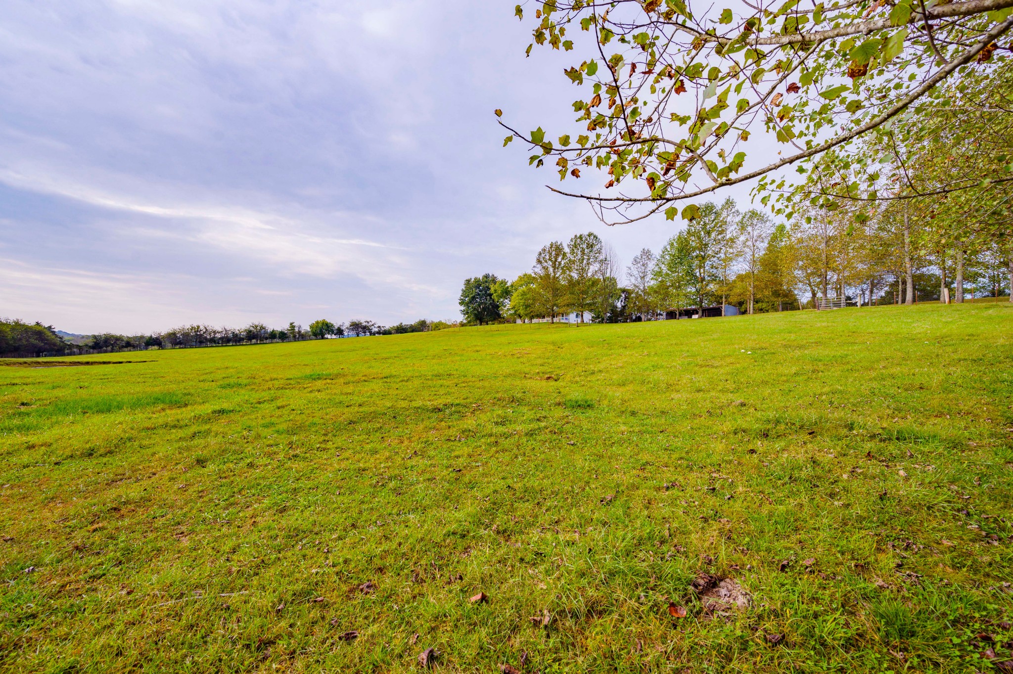 975 Webb Road Eagleville, TN 37060 - Photo 6 of 41 Gallery Image 6