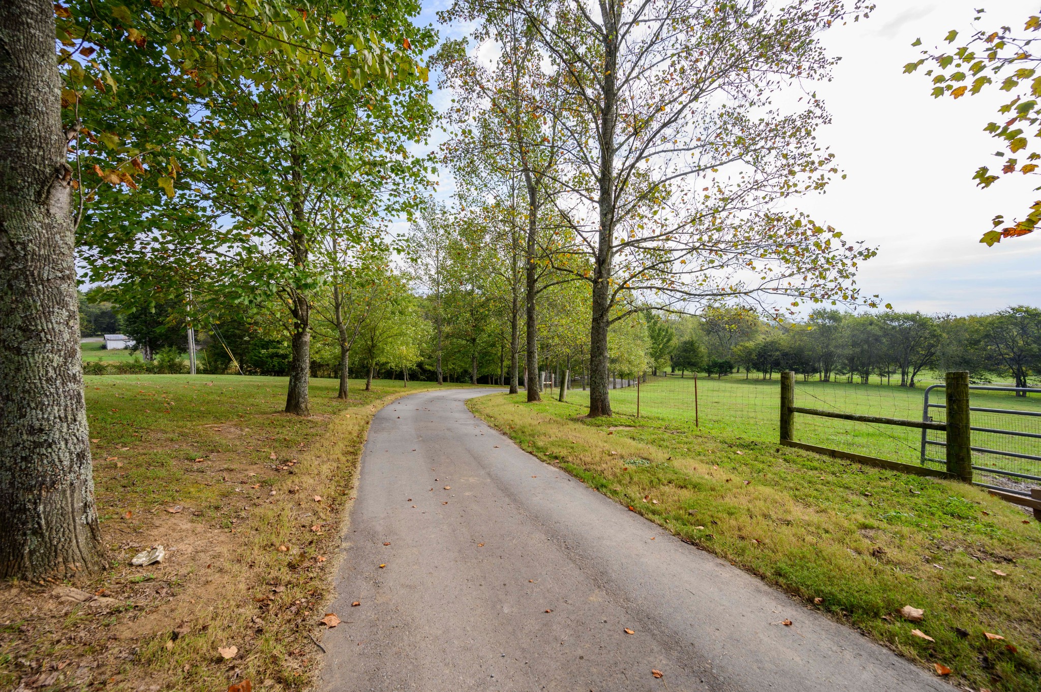 975 Webb Road Eagleville, TN 37060 - Photo 7 of 41 Gallery Image 7