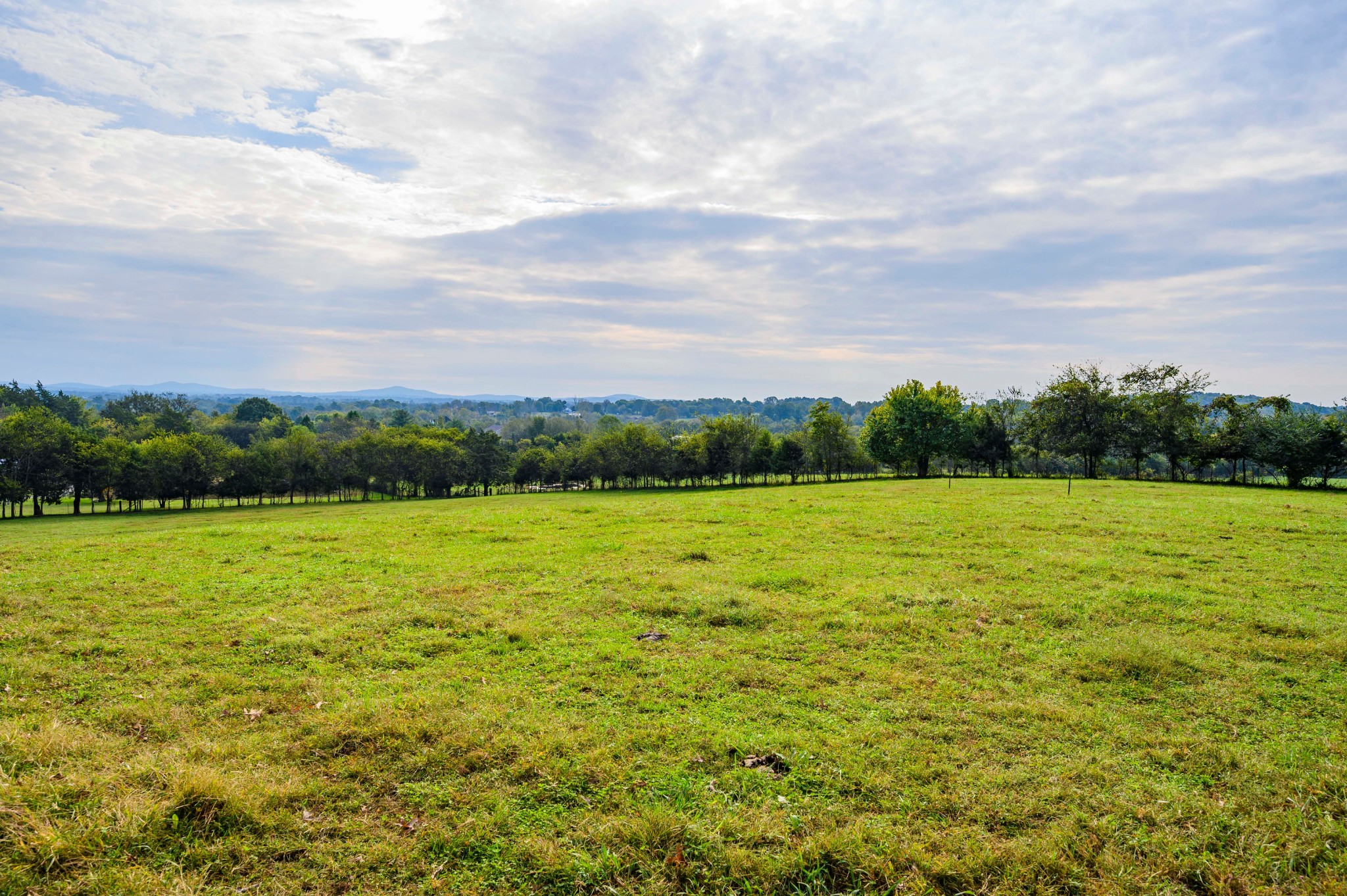 975 Webb Road Eagleville, TN 37060 - Photo 8 of 41 Gallery Image 8
