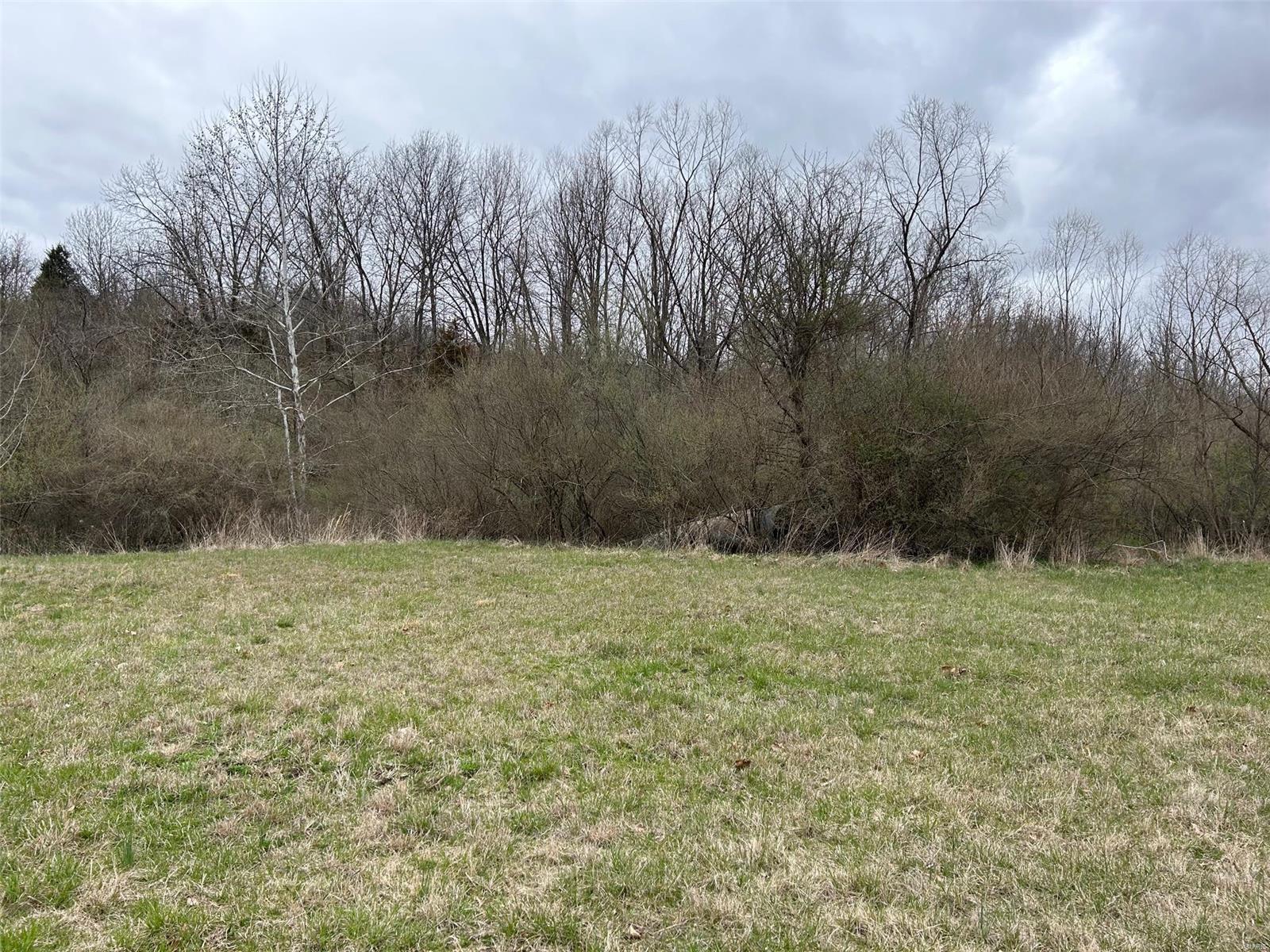 245 Southeast 200 Avenue Carrollton, IL 62016 - Photo 8 of 34