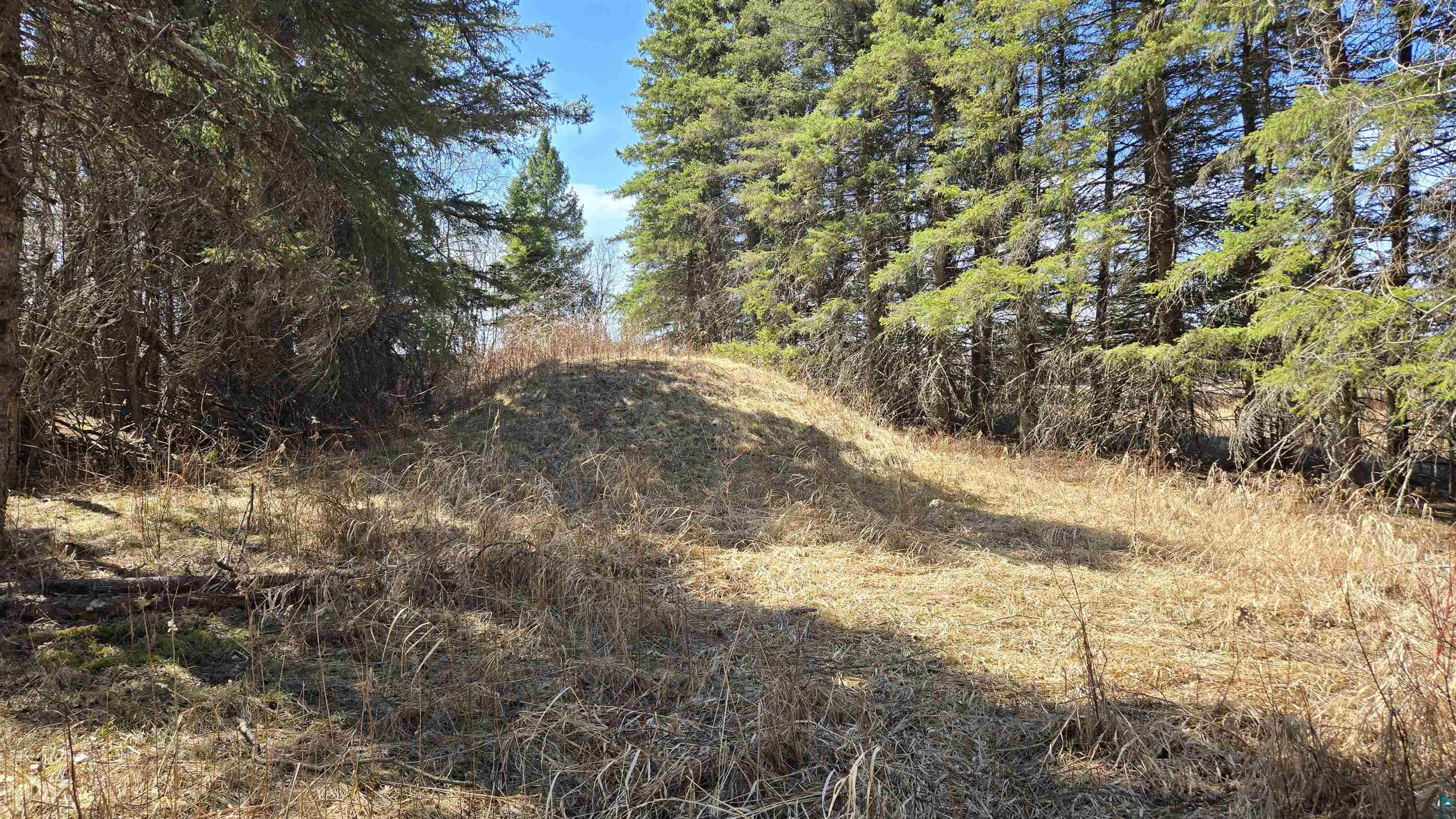 3293 South Greaney Road Orr, MN 55771 - Photo 10 of 17 Wooded lot featuring mature evergreen trees and natural vegetation