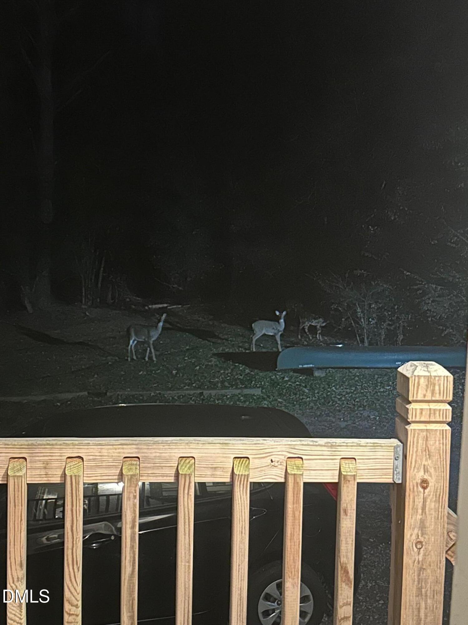 3117 Tryon Road Raleigh, NC 27603 - Photo 19 of 21 a view of outdoor space and yard