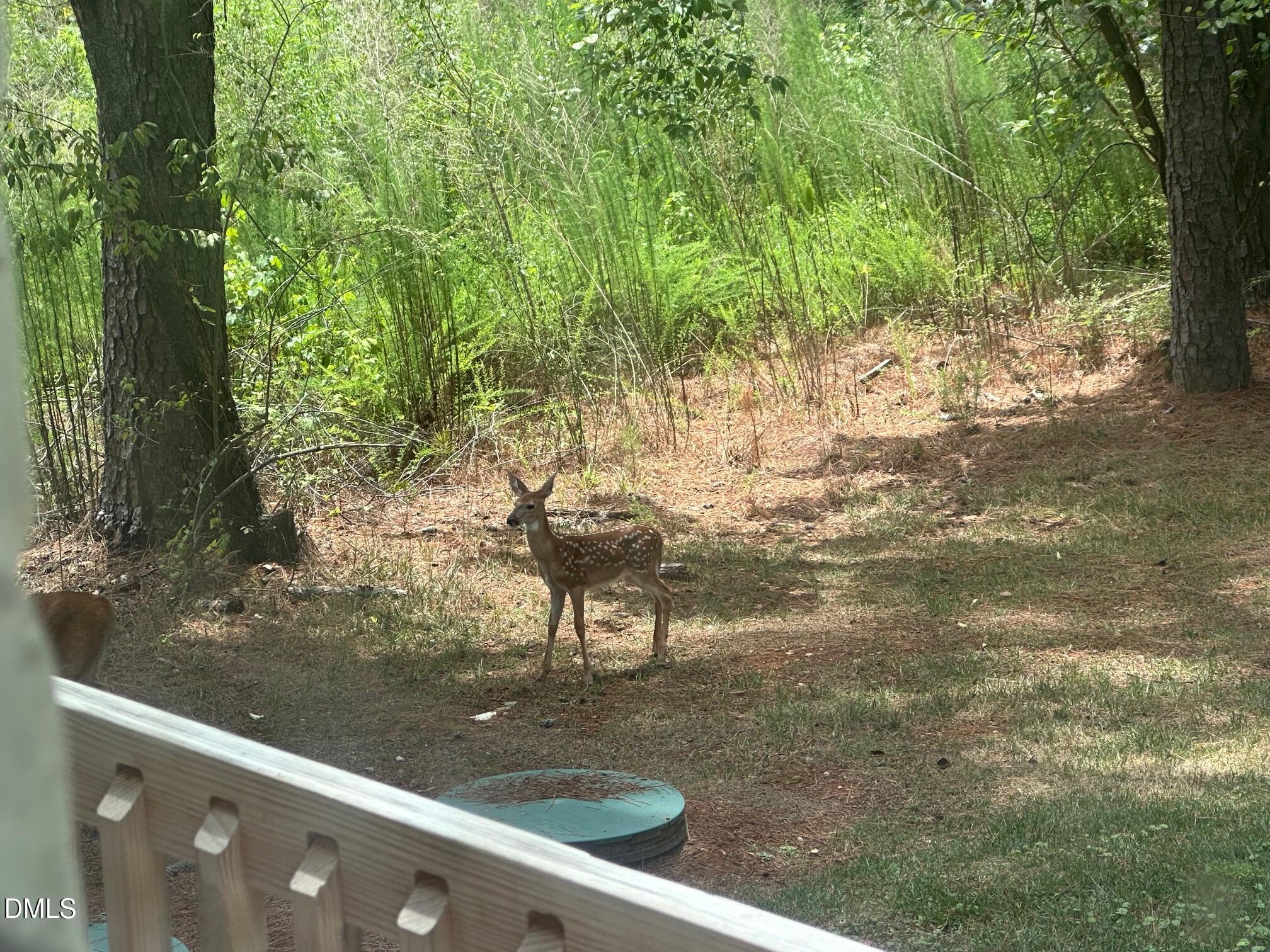 3117 Tryon Road Raleigh, NC 27603 - Photo 20 of 21 a view of a yard from a balcony