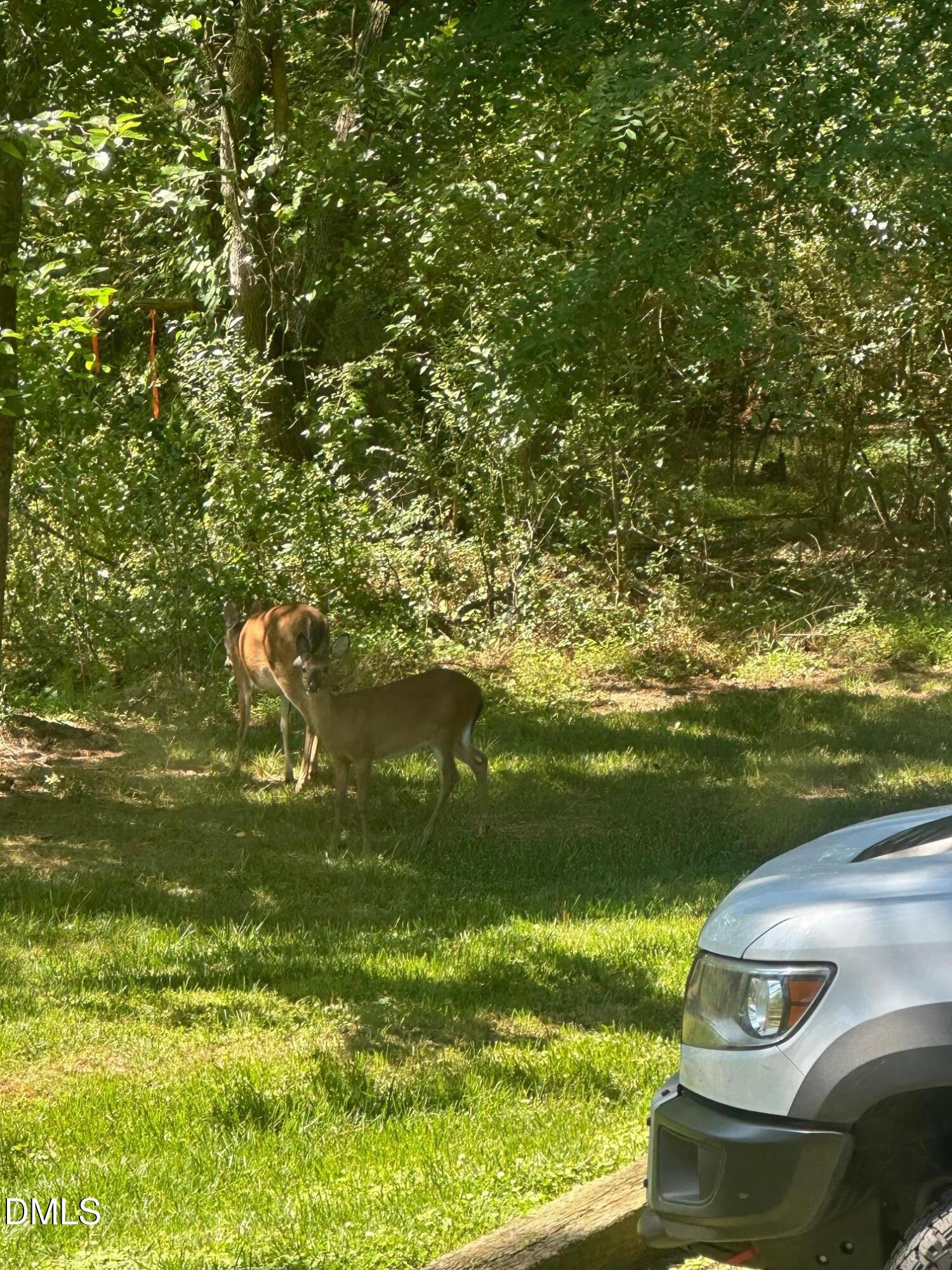 3117 Tryon Road Raleigh, NC 27603 - Photo 21 of 21 a view of a lake from a yard