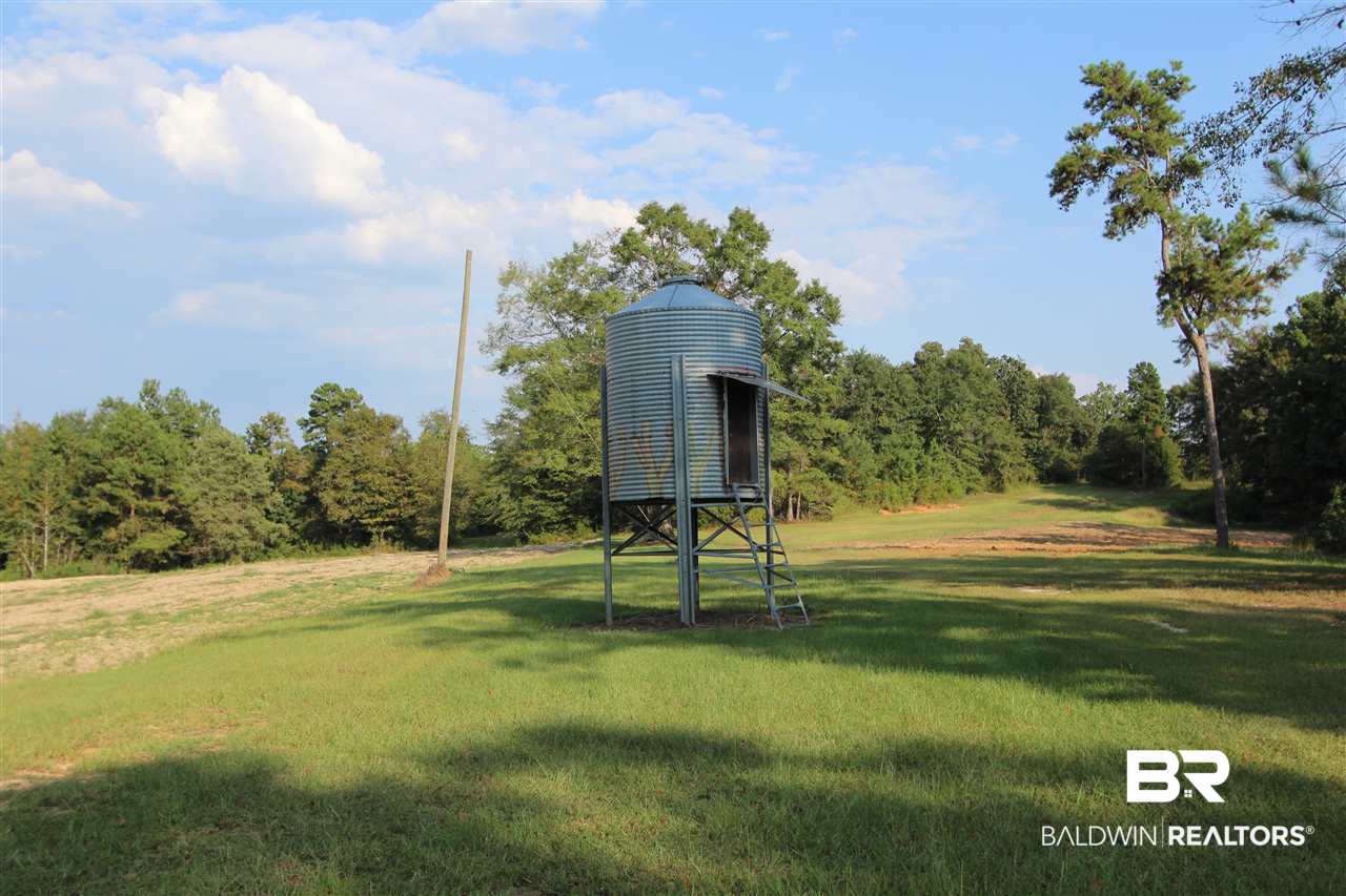794 Dry Lake Road Luverne, AL 36049 - Photo 3 of 48 Dove Field Shooting House