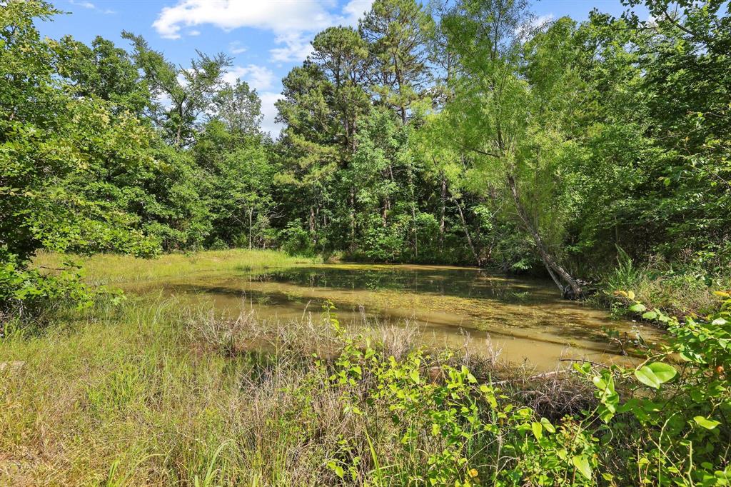 186275 North 4380 Road Rattan, OK 74562 - Photo 31 of 37 Pond surrounded by dense, mature foliage