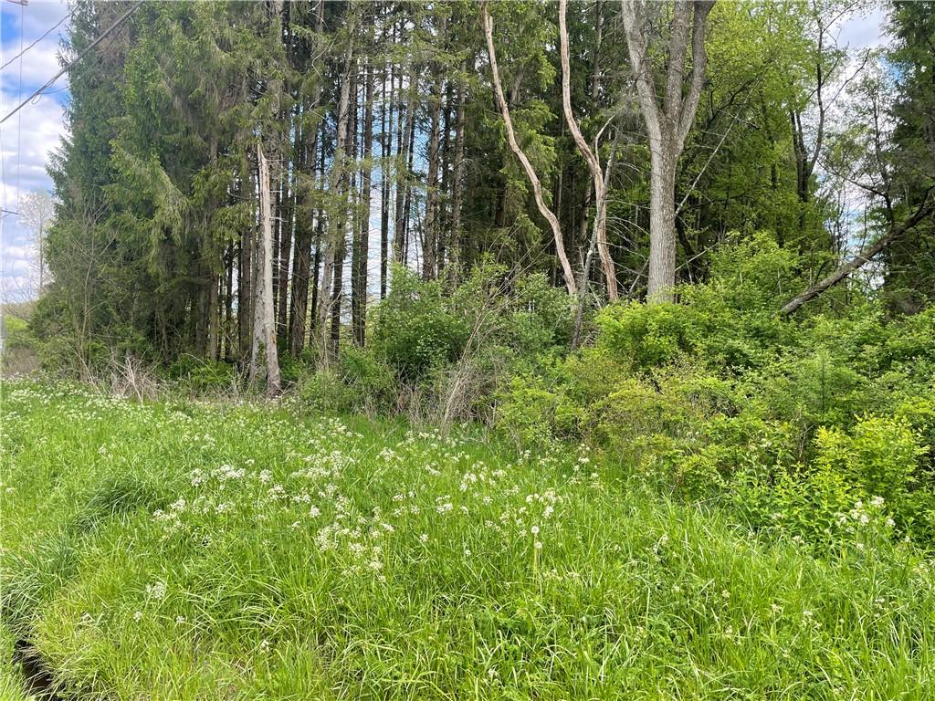 0 Mercer Road Greenville, PA 16125 - Photo 2 of 3 a green field with lots of trees