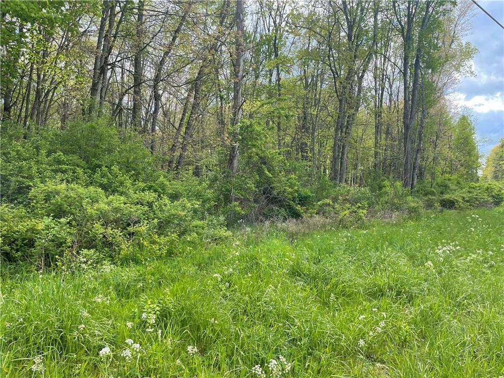 0 Mercer Road Greenville, PA 16125 - Photo 3 of 3 a view of a lush green forest
