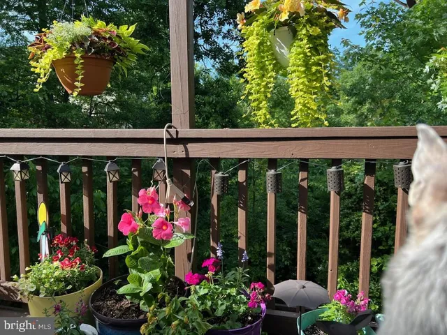 $735,000 | 13082 Park Crescent Circle, Herndon, VA 20171