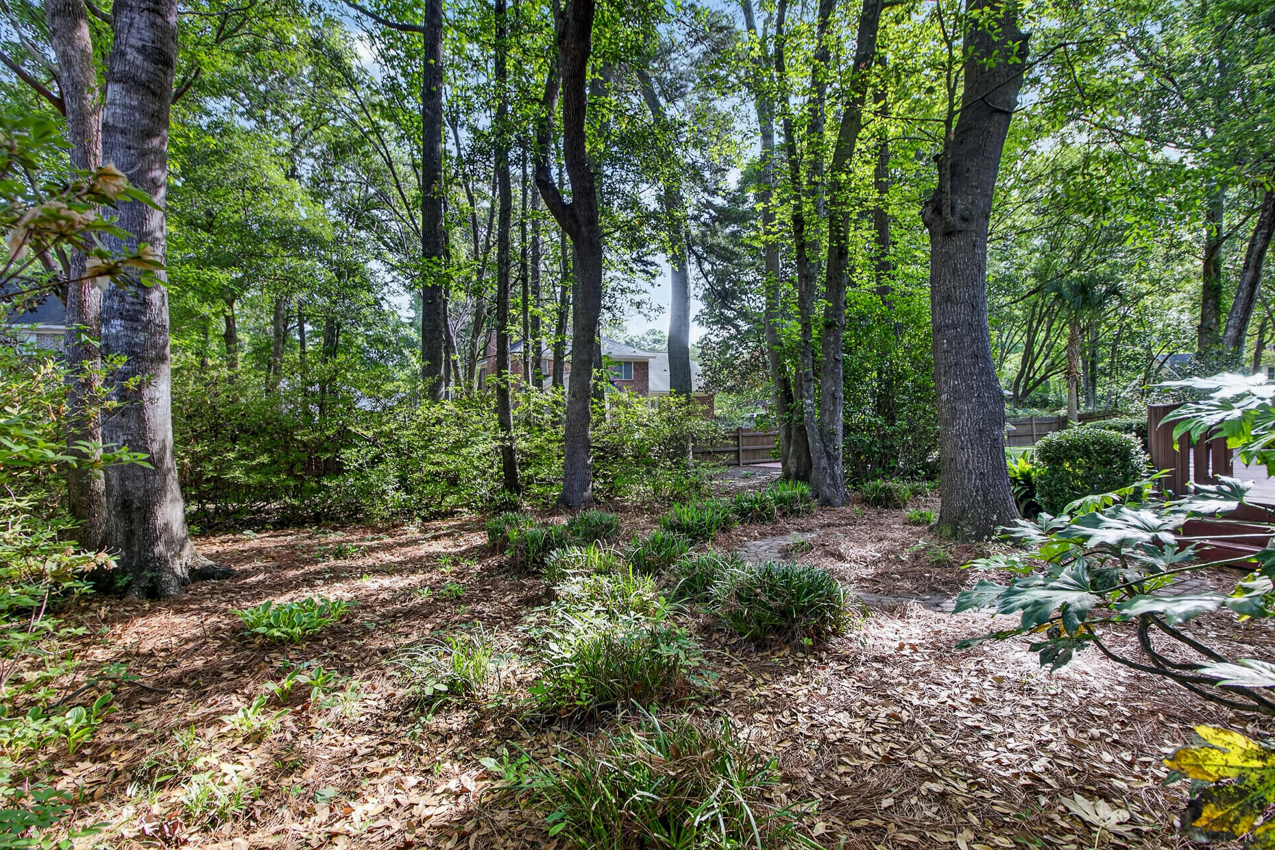 307 High Grove Road Summerville, SC 29485 - Photo 44 of 57 49_49_mls