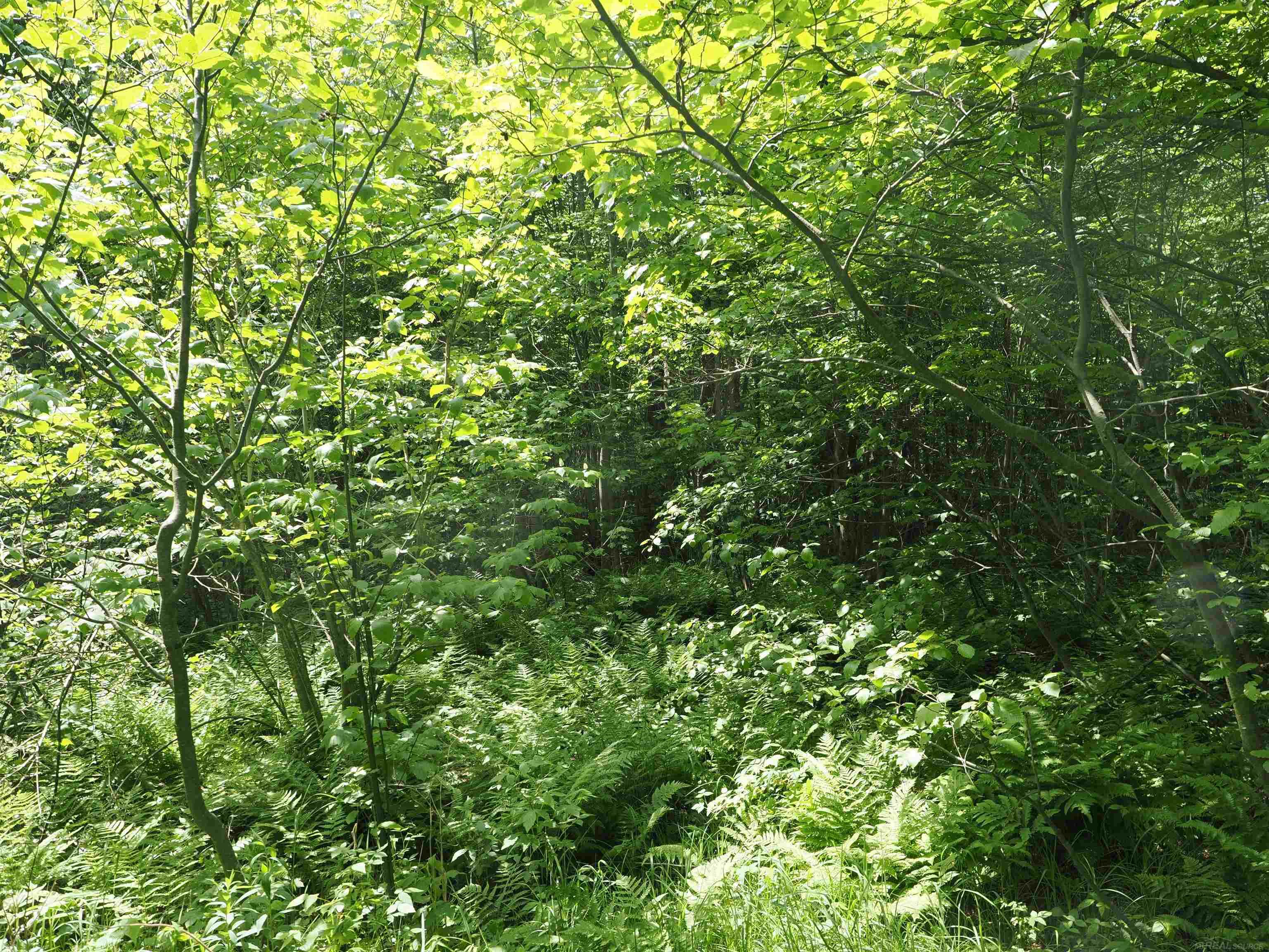 5 West 5 Mile Road Sault Ste. Marie, MI 49783 - Photo 15 of 30