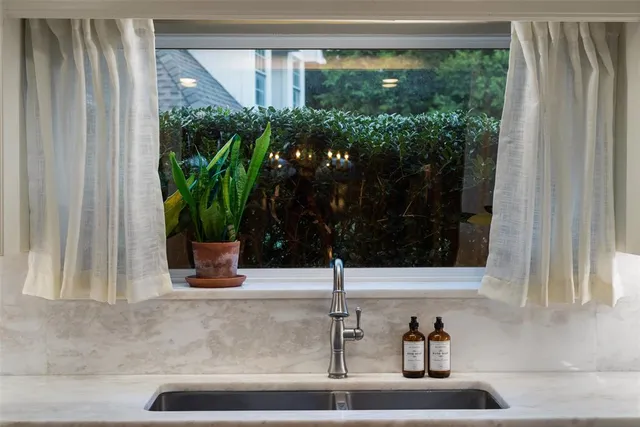 a bathroom with a potted plant and a sink