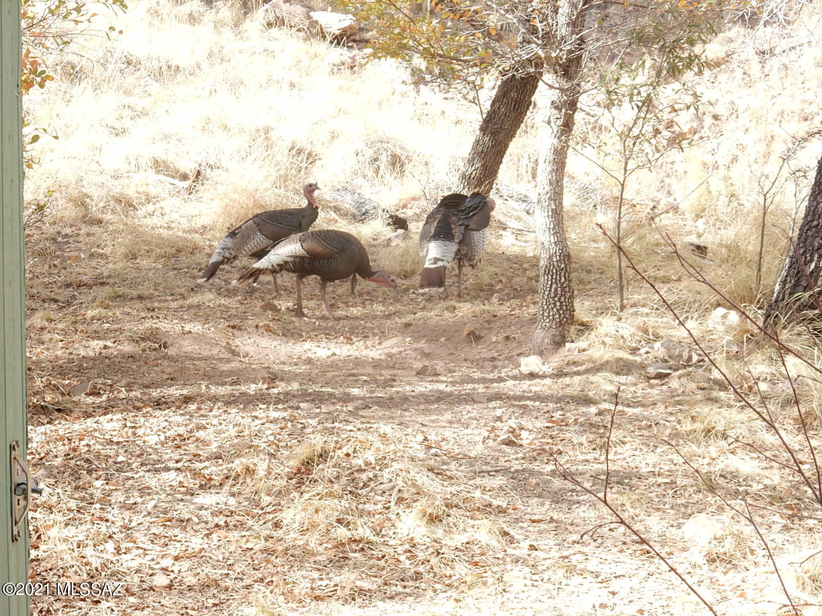13208 East Turkey Creek Road Pearce, AZ 85625 - Photo 11 of 26