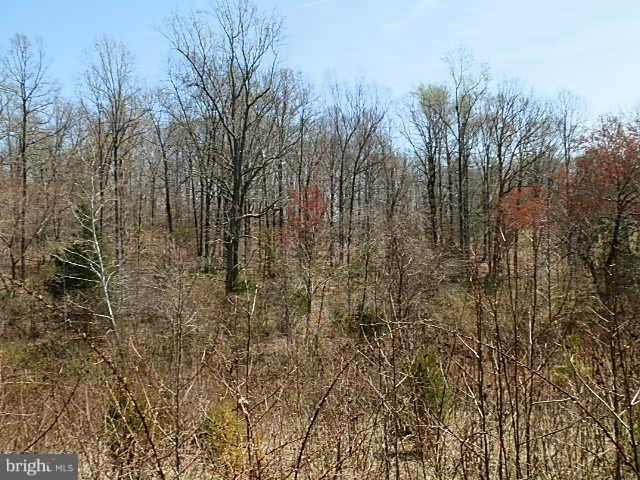 Tysons Center Road Orange, VA 22960 - Photo 13 of 14 Exterior (General)