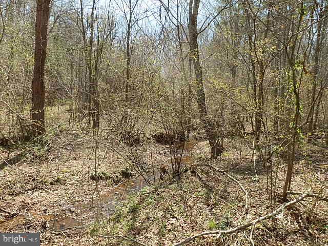 Tysons Center Road Orange, VA 22960 - Photo 2 of 14 Exterior (General)