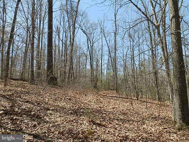 Tysons Center Road Orange, VA 22960 - Photo 3 of 14 Exterior (General)