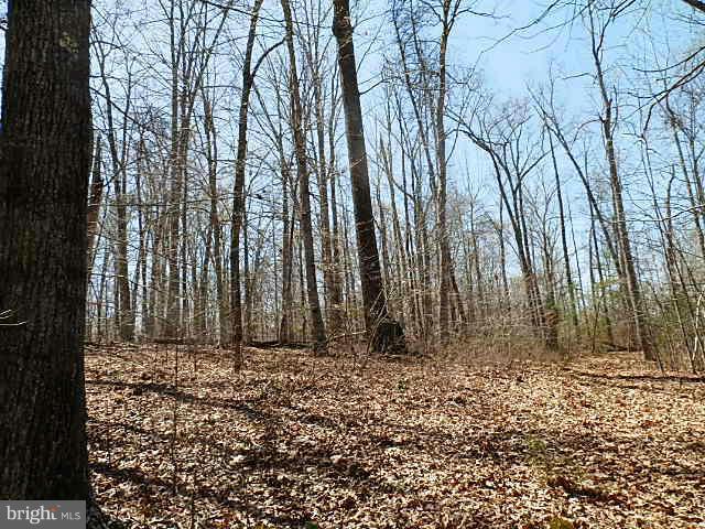 Tysons Center Road Orange, VA 22960 - Photo 4 of 14 Exterior (General)