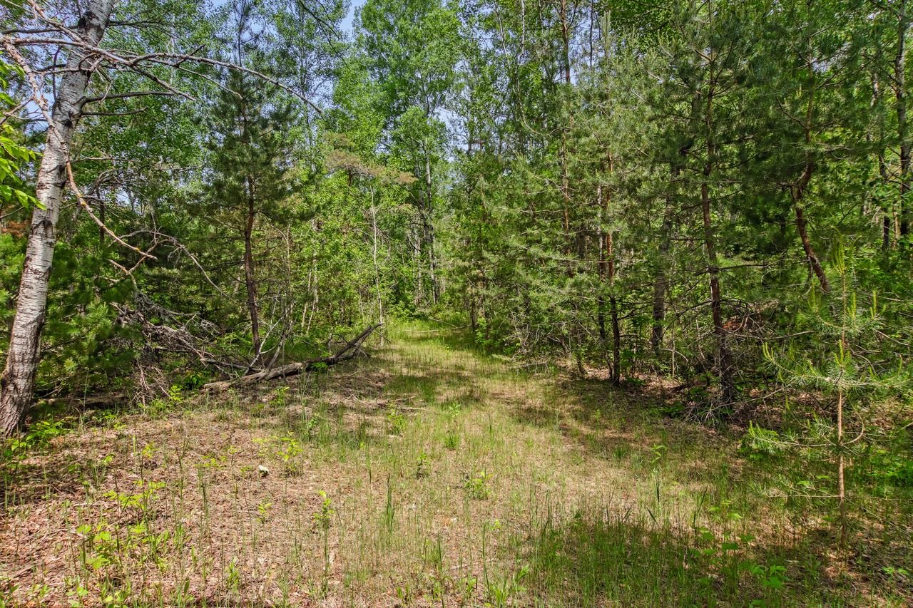 9663 Bailey Road Mancelona, MI 49659 - Photo 23 of 24 Gallery Image 23