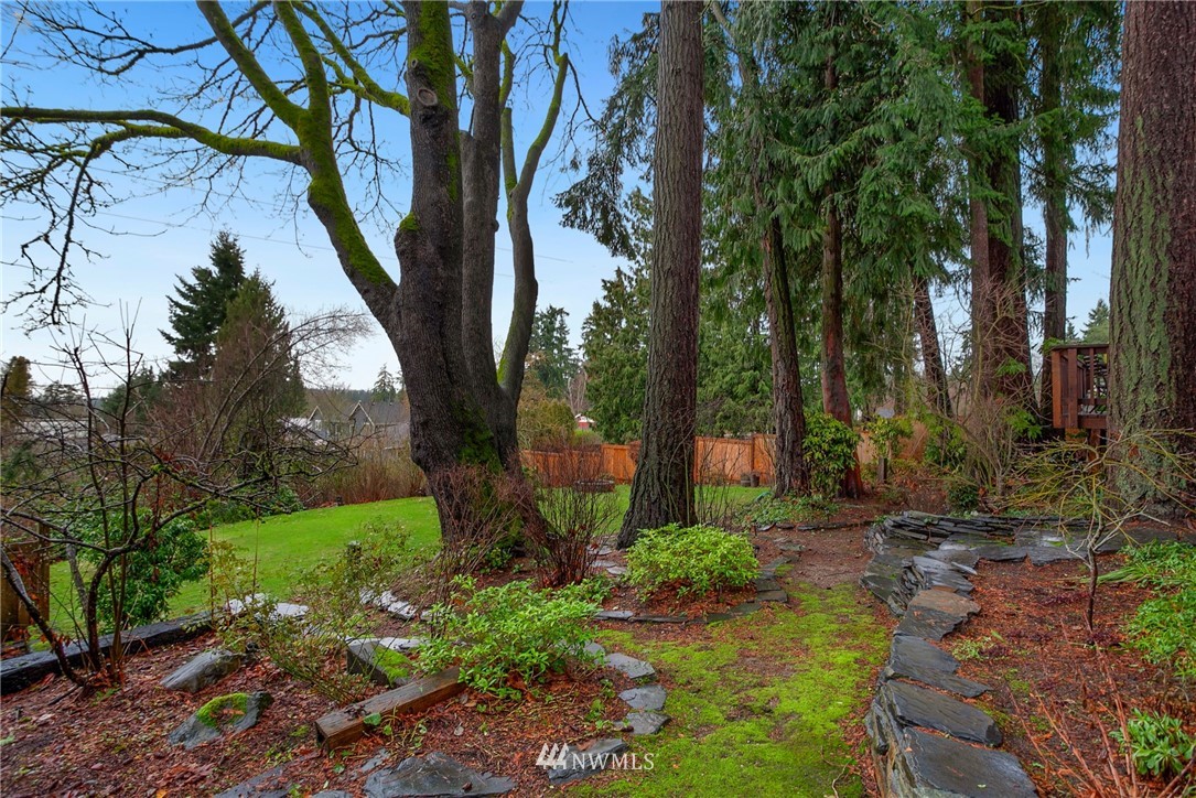 10727 126th Avenue Northeast Kirkland, WA 98033 - Photo 32 of 40 a backyard of a house with lots of green space