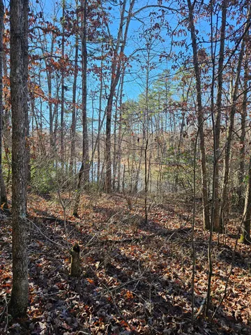 $175,000 | 242 Ranger Creek Road, Coalmont, TN 37313