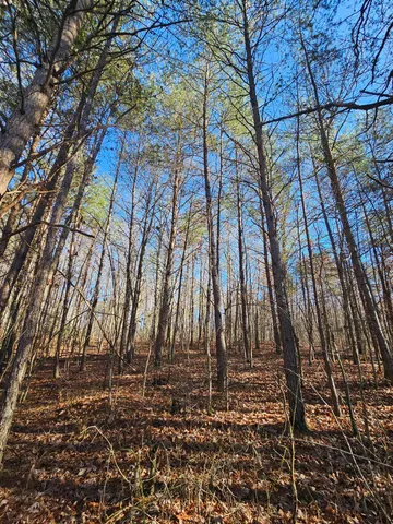 $175,000 | 242 Ranger Creek Road, Coalmont, TN 37313