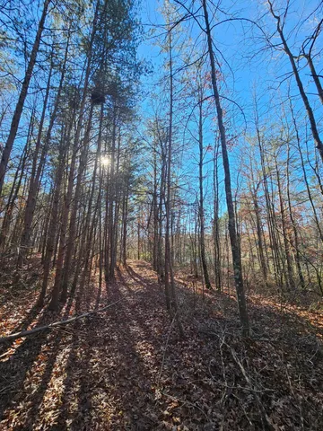 $175,000 | 242 Ranger Creek Road, Coalmont, TN 37313