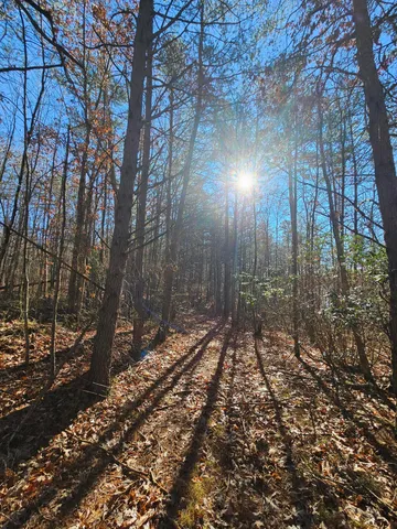 $175,000 | 242 Ranger Creek Road, Coalmont, TN 37313