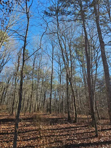 $175,000 | 242 Ranger Creek Road, Coalmont, TN 37313