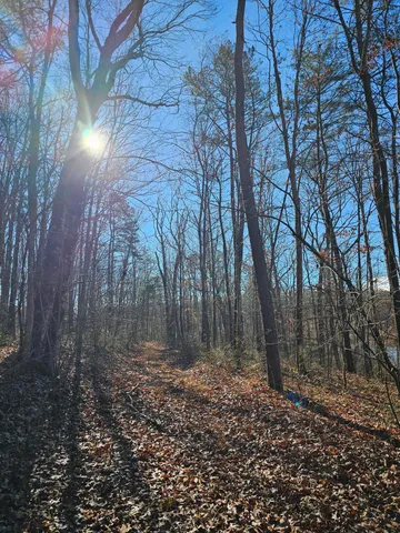 $175,000 | 242 Ranger Creek Road, Coalmont, TN 37313