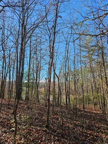 $175,000 | 242 Ranger Creek Road, Coalmont, TN 37313