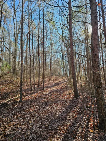 $175,000 | 242 Ranger Creek Road, Coalmont, TN 37313