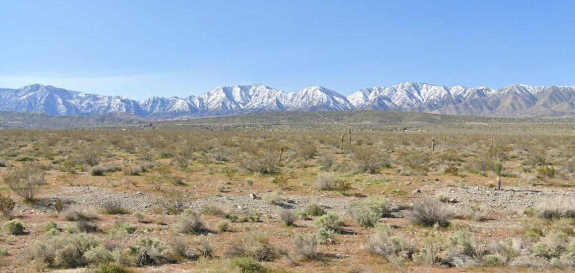 Pearblossom Highway East Pearblossom, CA 93553 - Photo 11 of 25 3037001038 view to south
