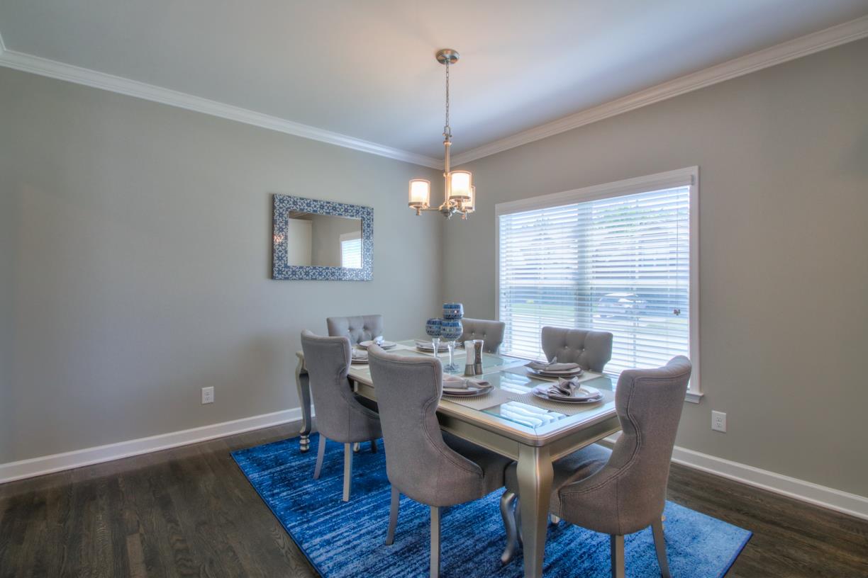 8001 Ragusa Circle Spring Hill, TN 37174 - Photo 10 of 30 Lots of natural light thru this window!
