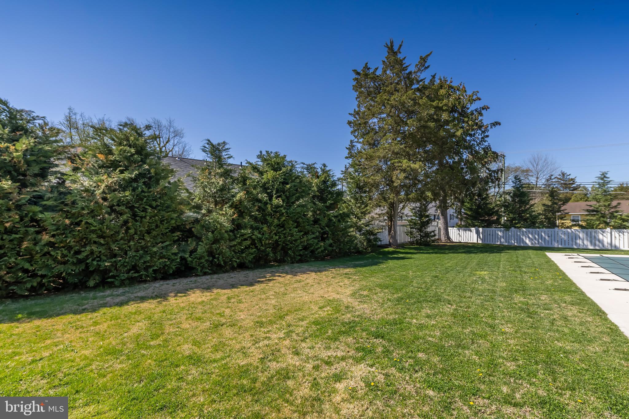 303 Main Street Mantua, NJ 08051 - Photo 45 of 50 a view of a yard with a tree