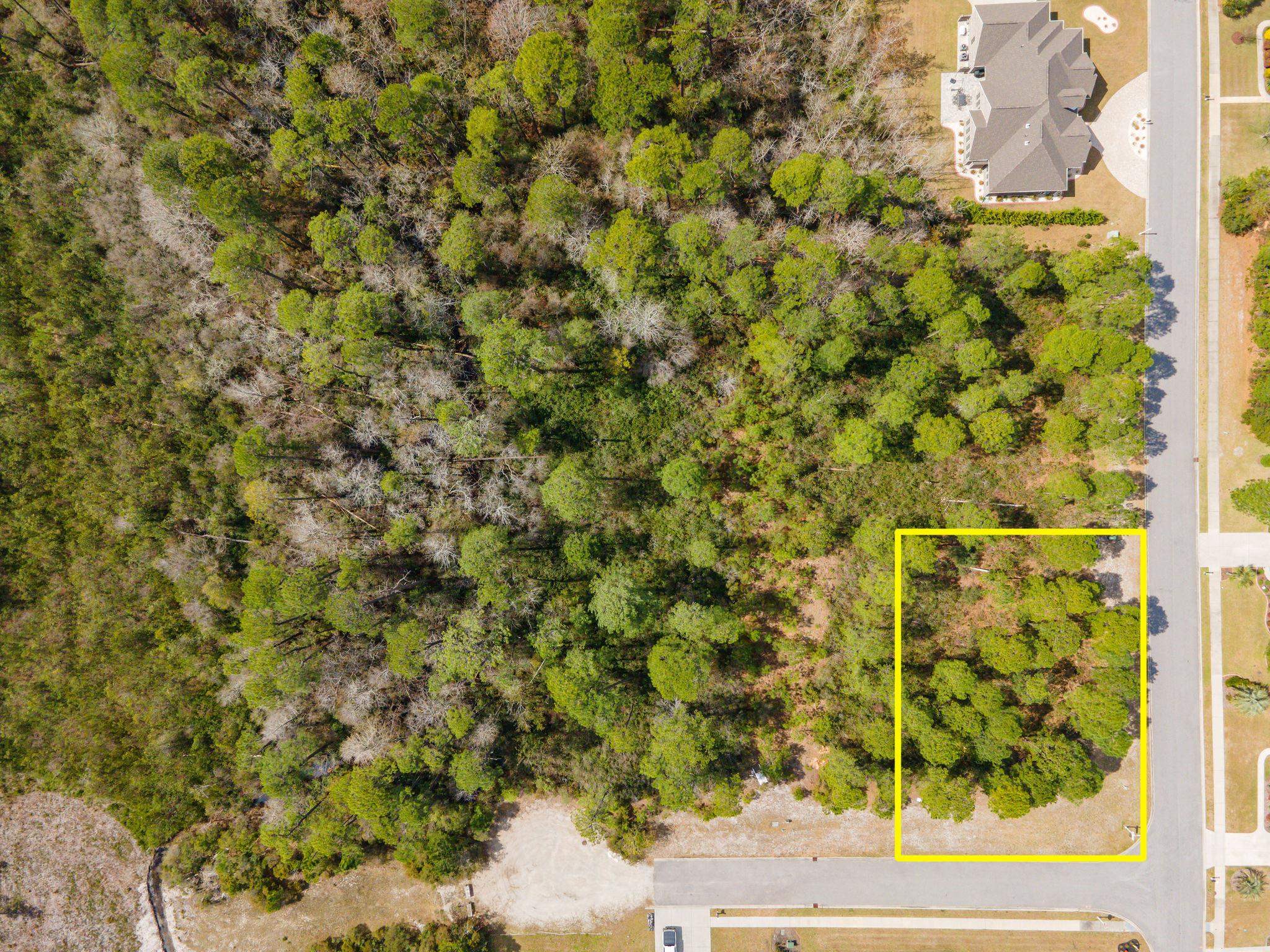 1259 Ficus Drive Myrtle Beach, SC 29579 - Photo 7 of 16