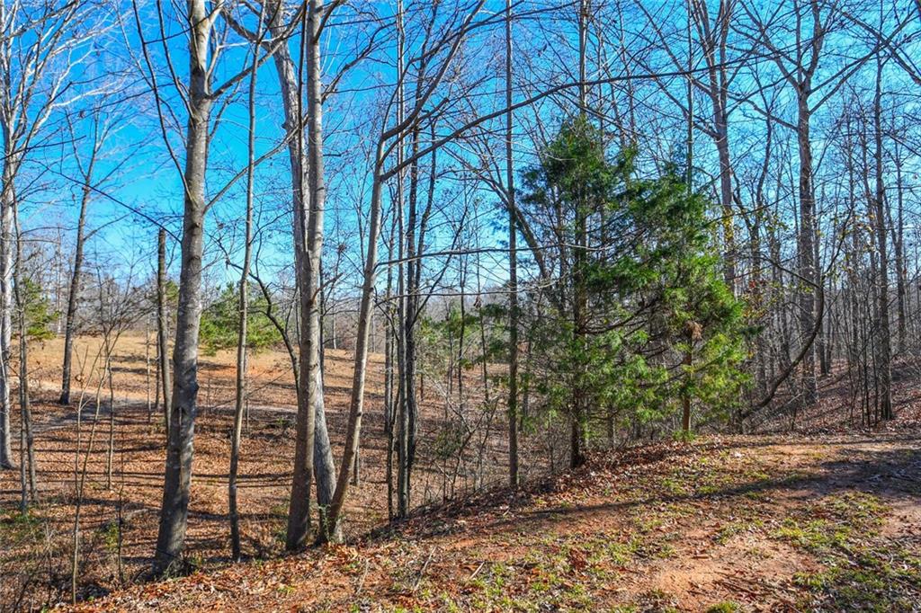 731 Brewer Road Lula, GA 30554 - Photo 125 of 200