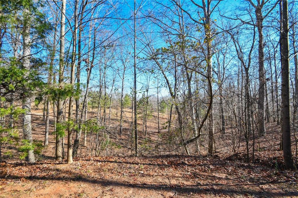 731 Brewer Road Lula, GA 30554 - Photo 127 of 200