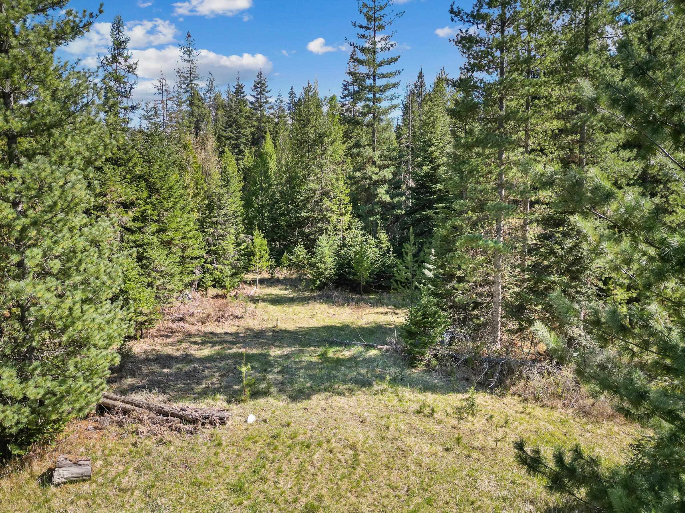 397759 State Rte 20 Cusick, WA 99119 - Photo 4 of 12
