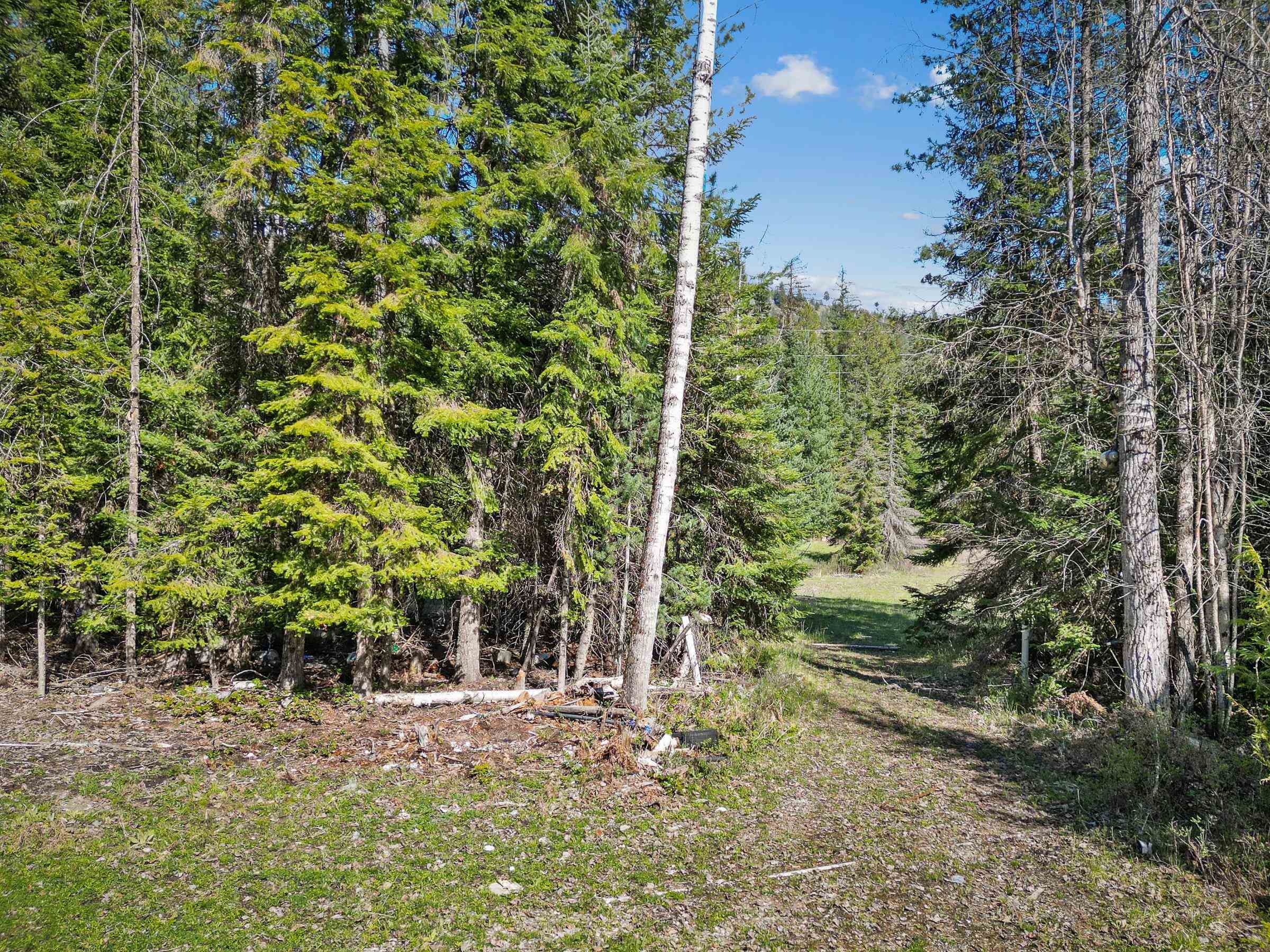 397759 State Rte 20 Cusick, WA 99119 - Photo 6 of 12